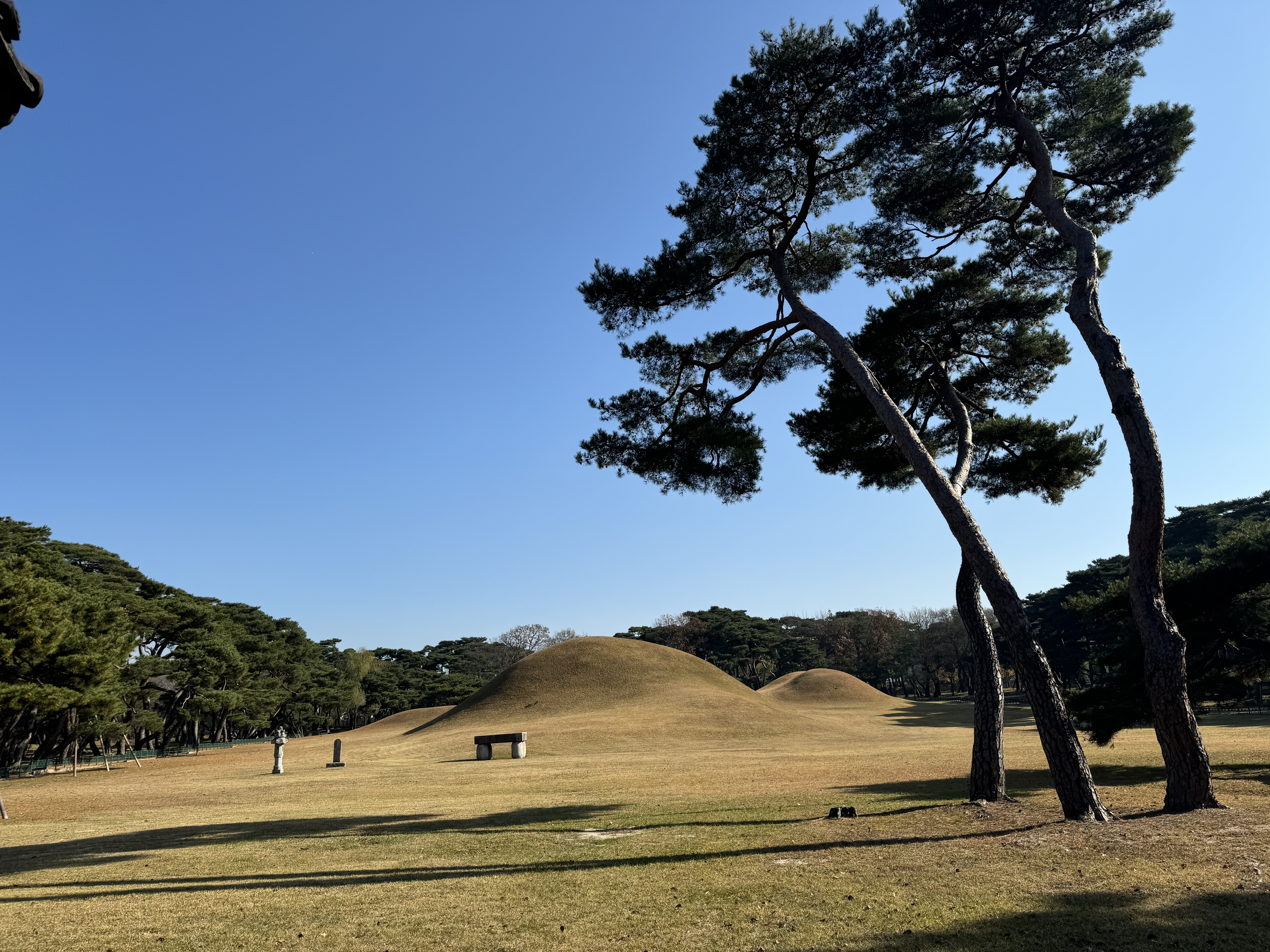 KakaoTalk_20241202_134514746_14.jpg